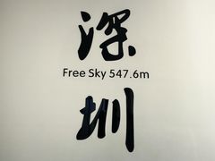 -平安金融中心云际观光层