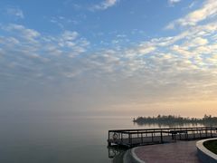 -泗洪洪泽湖湿地景区
