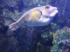 -太平洋海底世界