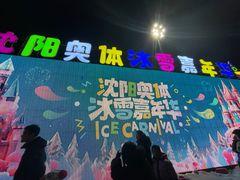 -沈阳奥体冰雪嘉年华