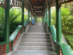 -迎泽公园