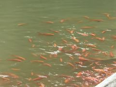 -善卷洞风景区