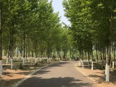 -东郊湿地公园