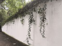 -杭州黄龙洞