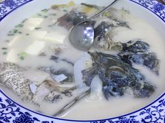 -全乐鱼馆·淳牌有机鱼直营店