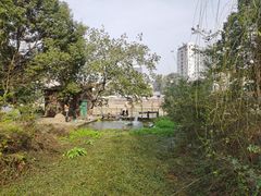 -成都南湖公园