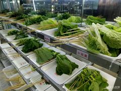 -袁记串串香(人民公园店)