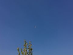 -COACH蔻驰(百联奥特莱斯广场店)