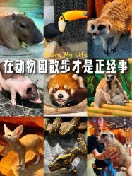 -Zoolung Zoolung动物主题公园(海信广场店)