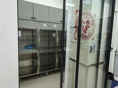 -爱妮康宠物医院·干细胞免疫细胞·肿瘤·心脏(张江店)