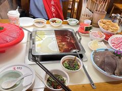 -重庆高老九火锅(虹桥天地店)