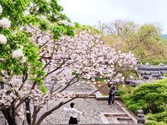 -广富林郊野公园