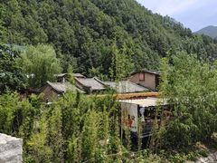 -牛背梁国家森林公园