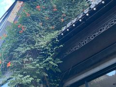 -吴山贡鹅(罍街店)