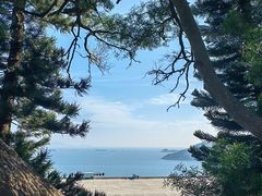 -香港海洋公园