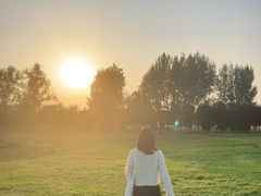 -汉长安城未央宫国家考古遗址公园