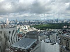 -东京都厅舍