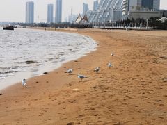 -秦皇岛新澳海底世界