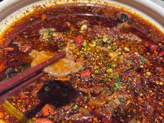-天辣(金桥啦啦宝都店)