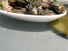 -南蚝小贝海鲜特色餐厅(南澳岛店)