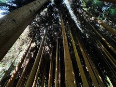 -太阳湾风景区