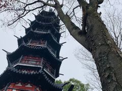 -上海佘山国家森林公园西佘山园