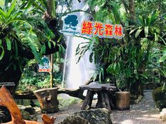 -绿光森林餐厅