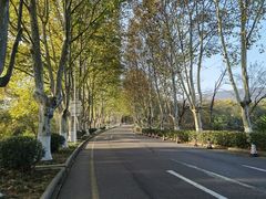 -钟山体育运动公园