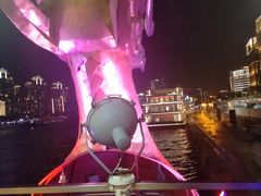 -新龙船黄浦江餐饮游船官方自营店