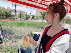 -菊园百果园