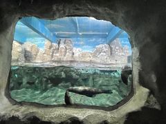 -南昌海洋公园