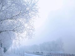 -中旅松花湖滑雪场