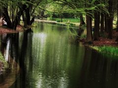 -上海共青森林公园