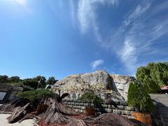 -北京西山国家森林公园