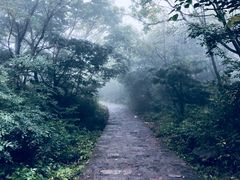 -青峰峡国家森林公园