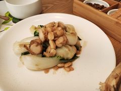 -青梅酒肆PLUS(长白仙岛北路店)
