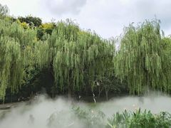 -苏州河梦清园环保主题公园