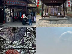 -苏州太湖国家湿地公园