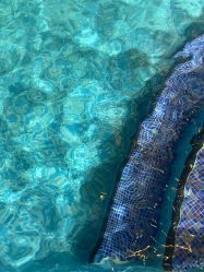 -星河湾酒店·宴会厅(番禺大道北店)