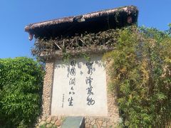 -观澜山水田园