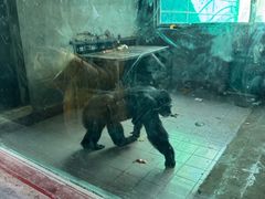 -秦皇岛野生动物园