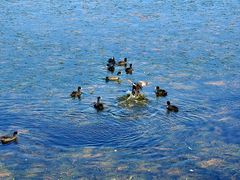 -野鸭湖国家湿地公园
