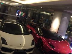 -新加坡乌节希尔顿酒店 (SG Clean)