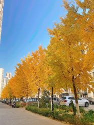 -陪我玩图书馆·烘焙坊·综合亲子馆