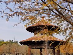 -五缘湾湿地公园