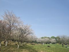 -凤凰沟景区
