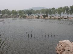 -济南国际园博园