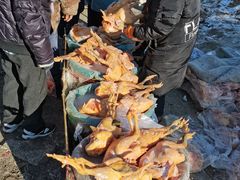 -蒲河大集