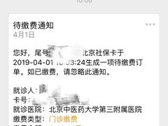 -北京中医药大学第三附属医院