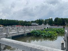 -南通濠河风景名胜区